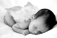 Newborn
