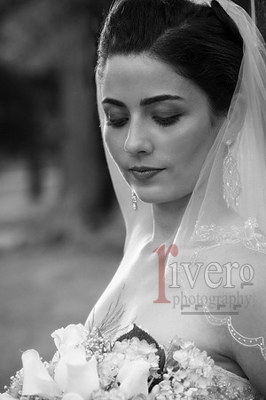 C&V_0796